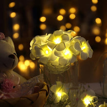 Load image into Gallery viewer, White Plumeria String Lights