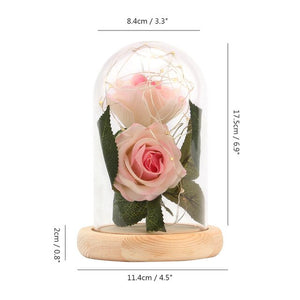 Beauty And The Beast Red Rose Light